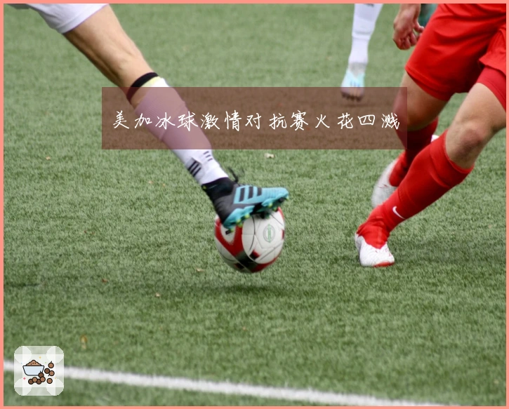 美加冰球激情对抗赛火花四溅