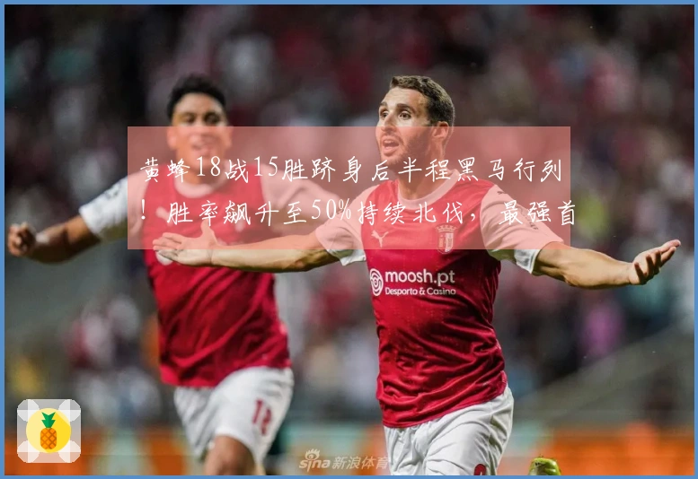 黄蜂18战15胜跻身后半程黑马行列！胜率飙升至50%持续北伐，最强首发战绩达19胜2负