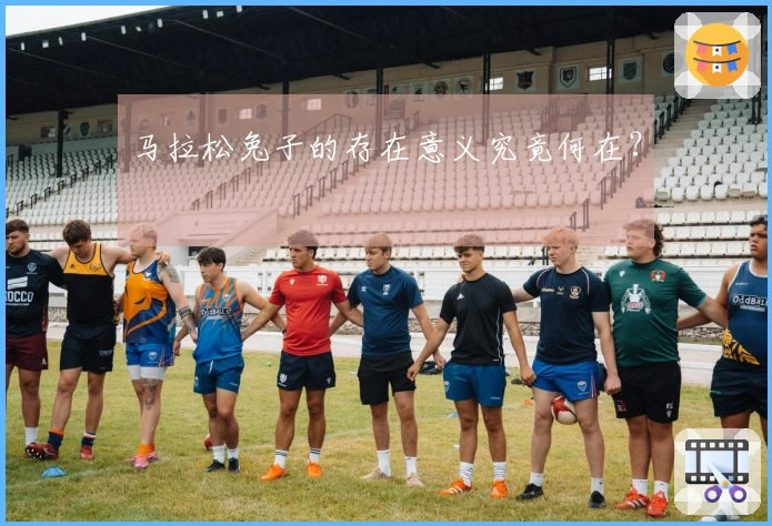 马拉松兔子的存在意义究竟何在？