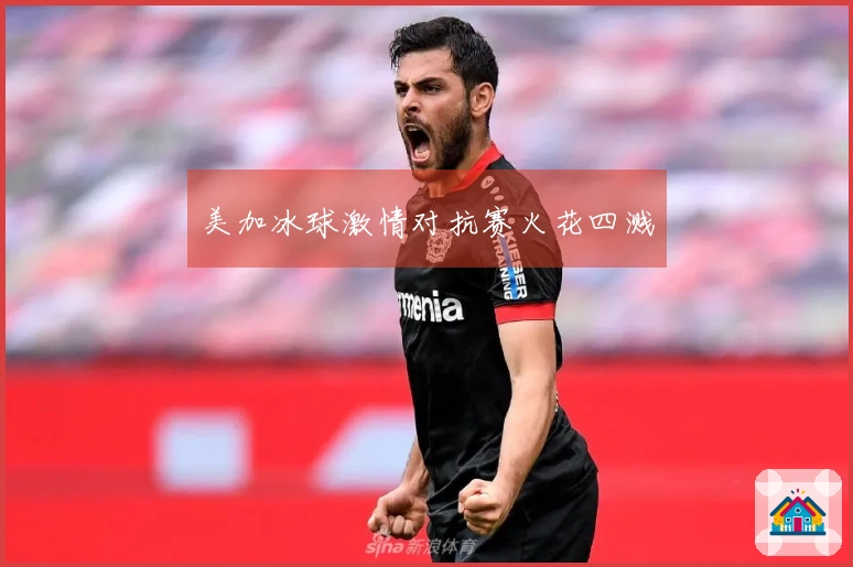 美加冰球激情对抗赛火花四溅